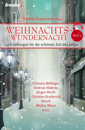 Cover of the book Weihnachtswundernacht 3 by Hanna Backhaus
