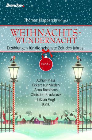 Cover of Weihnachtswundernacht 4