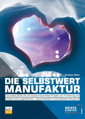 Cover of the book Die Selbstwertmanufaktur by 