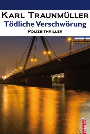 Cover of the book Tödliche Verschwörung: Polizeithriller by Mason McCann Smith