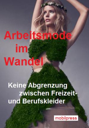 Cover of Arbeitsmode im Wandel