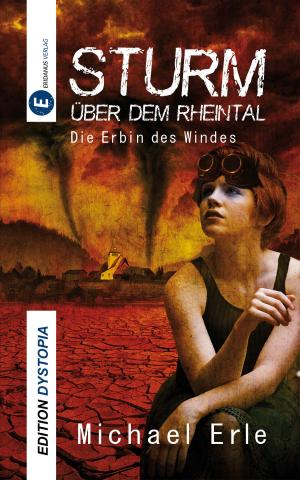 Cover of Sturm über dem Rheintal