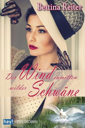 Cover of the book Der Wind inmitten wilder Schwäne by Audrey Reimann