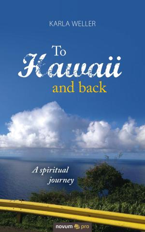 Book cover of To Hawaii and back