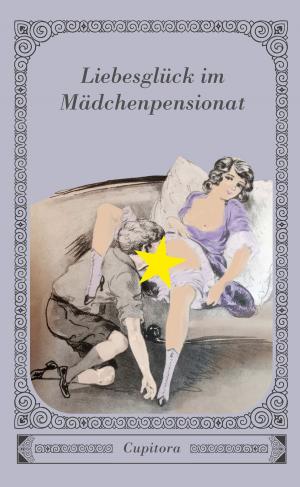 Book cover of Liebesglück im Mädchenpensionat