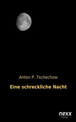 Cover of the book Eine schreckliche Nacht by Emily Brontë