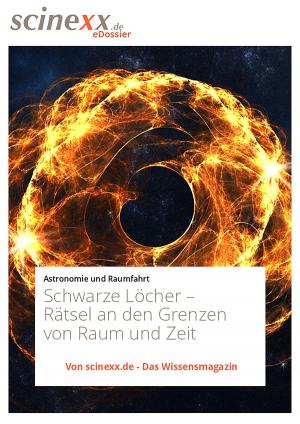Book cover of Schwarze Löcher