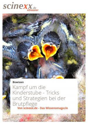 Cover of the book Kampf um die Kinderstube by Nadja Podbregar