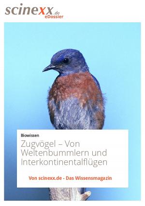 Cover of the book Zugvögel by Nadja Podbregar