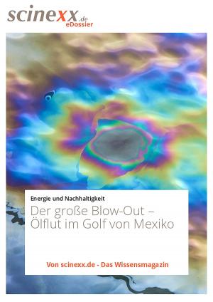 Cover of Der große Blow-Out