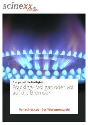 Book cover of Fracking: Vollgas oder voll auf die Bremse?