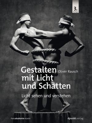 Cover of the book Gestalten mit Licht und Schatten by Tammo van Lessen, Daniel Lübke, Jörg Nitzsche