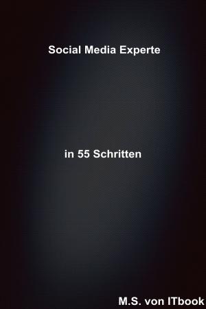 Book cover of Social Media Experte in 55 Schritten