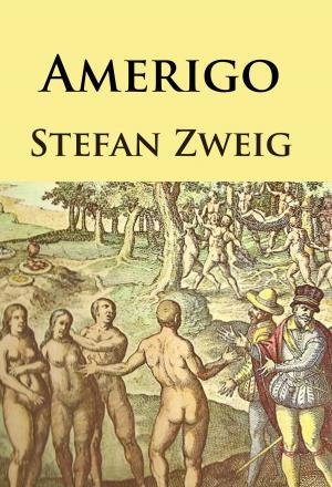 Cover of the book Amerigo by Daniel Defoe