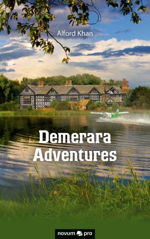 Cover of the book Demerara Adventures by Jonathan Saunders