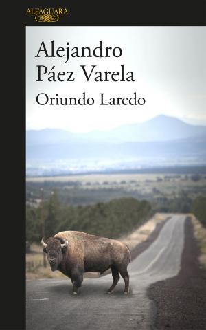 Cover of the book Oriundo Laredo by Javier León Herrera