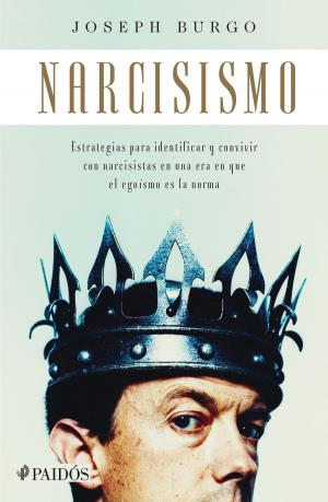 Cover of the book Narcisismo by Patricia Hervías