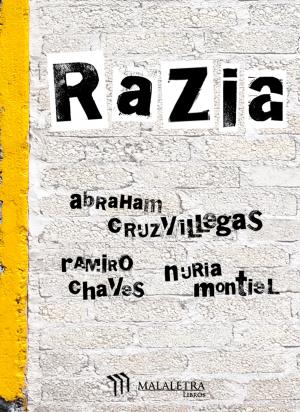 Book cover of Razia