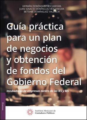 Cover of the book Guía práctica para un plan de negocios y obtención de fondos del Gobierno Federal by Bogdan Vaida