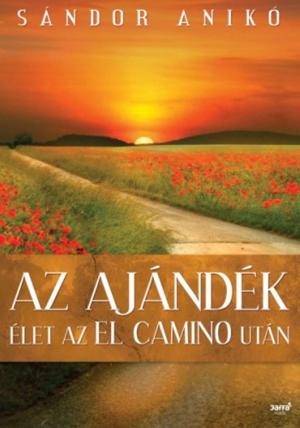 Cover of the book Az ajándék by Takács Tibor