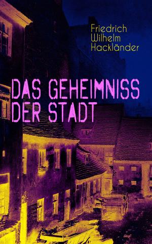 Cover of the book Das Geheimniss der Stadt by Nika Lubitsch