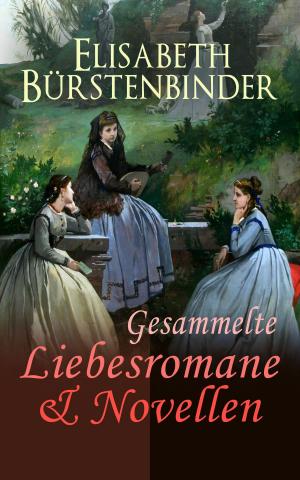 Cover of the book Gesammelte Liebesromane & Novellen by Guy de Maupassant