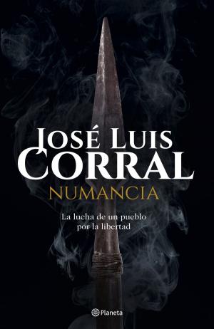 Cover of the book Numancia by Miguel Ángel Tobías