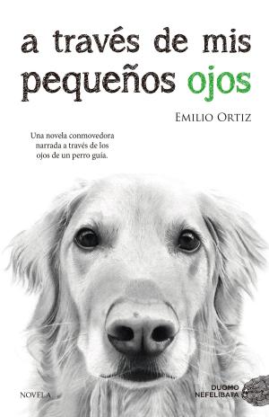 Cover of the book A través de mis pequeños ojos by Ángeles González-Sinde