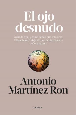 Cover of the book El ojo desnudo by Javier Álvarez, Luis Fernando Rodríguez