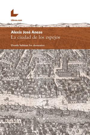 Cover of the book La ciudad de los espejos by Ricardo Hernani
