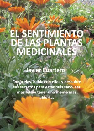 Cover of the book El sentimiento de las plantas medicinales by Antonio  Sánchez