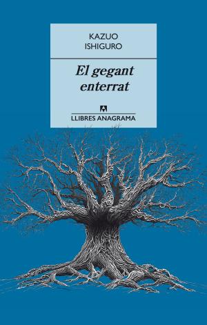Cover of the book El gegant enterrat by Jean Echenoz