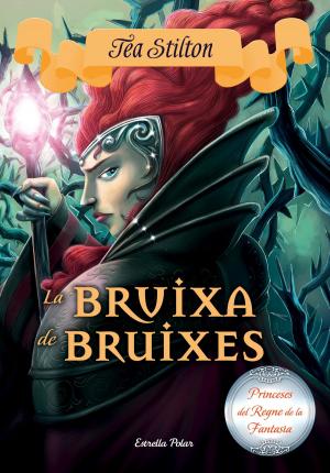 Cover of the book La bruixa de bruixes by Michael Hjorth, Hans Rosenfeldt
