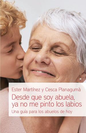 Cover of the book Desde que soy abuela, ya no me pinto los labios by Lidia Martín