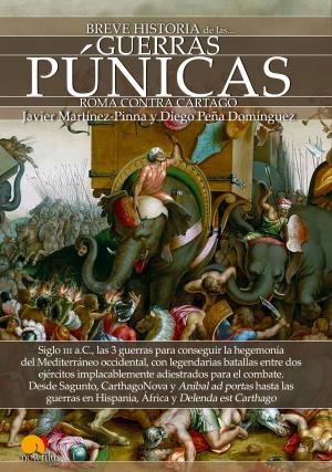 Cover of the book Breve historia de la Guerras Púnicas by Javier Martínez-Pinna