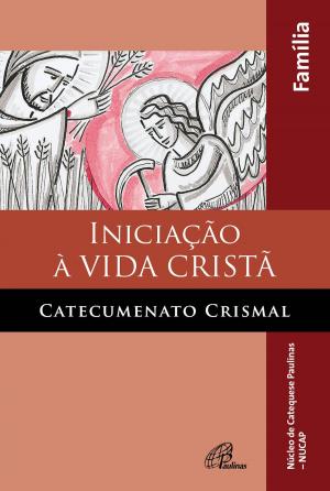 Cover of the book Iniciação à vida cristã: catecumenato crismal by Jacil Rodrigues de Brito, Aldo Colombo