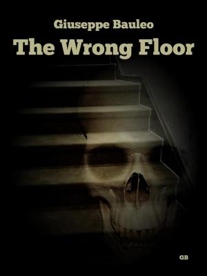 Cover of the book The wrong floor by Sabine Baring-Gould