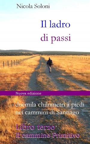 Cover of the book Il ladro di passi. Libro terzo. Il cammino Primitivo by Andrea Vismara