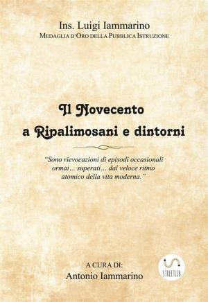 Cover of the book Il Novecento a Ripalimosani e dintorni by Enzo Sardellaro