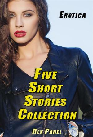 Cover of Erotica: Five Short Stories Collection