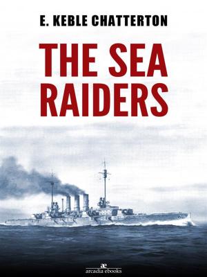 Book cover of The Sea Raiders