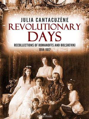 Cover of the book Revolutionary Days: Recollections of Romanoffs and Bolsheviki 1914-1917 by J.D. Borthwick, Horace Kephart