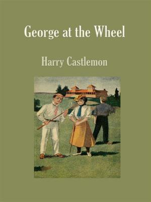 Cover of the book George at the Wheel by Raymond Greiner