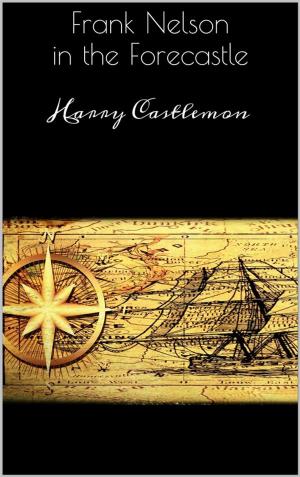 Book cover of Frank Nelson in the Forecastle