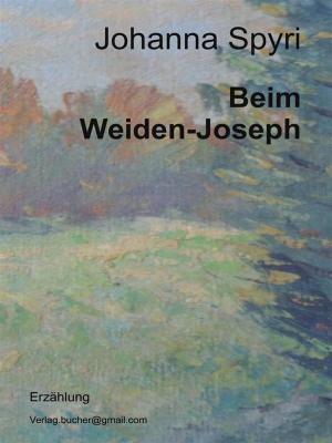 Book cover of Der Weiden-Joseph
