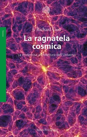 Cover of the book La ragnatela cosmica by Claire Messud