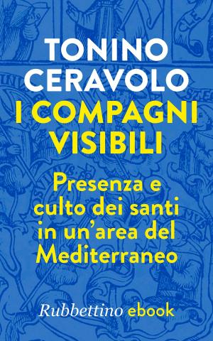 Cover of the book I compagni visibili by Giulio Meotti
