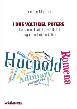 Cover of the book I due volti del potere by Davide Lasagno