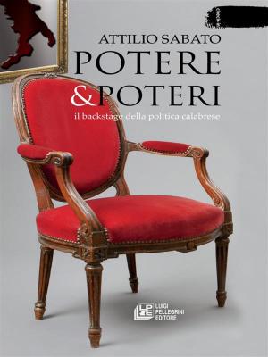 Cover of the book Potere & Poteri. Il backstage della politica calabrese by Massimo Fragola