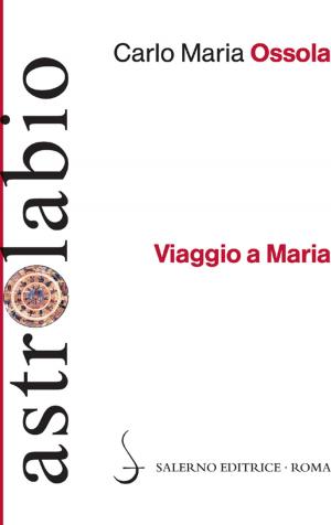 Cover of the book Viaggio a Maria by Sergio Valzania, Alessandro Barbero